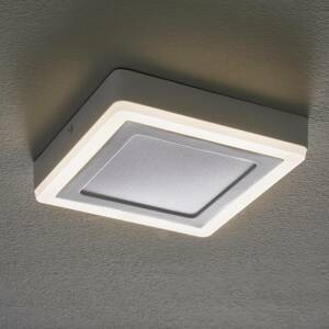 LEDVANCE LED Click White Square menny. lámpa 20cm